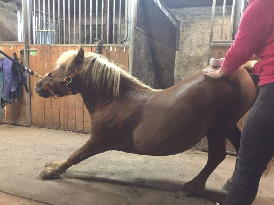 kuva: Tuuli Jääskeläinen