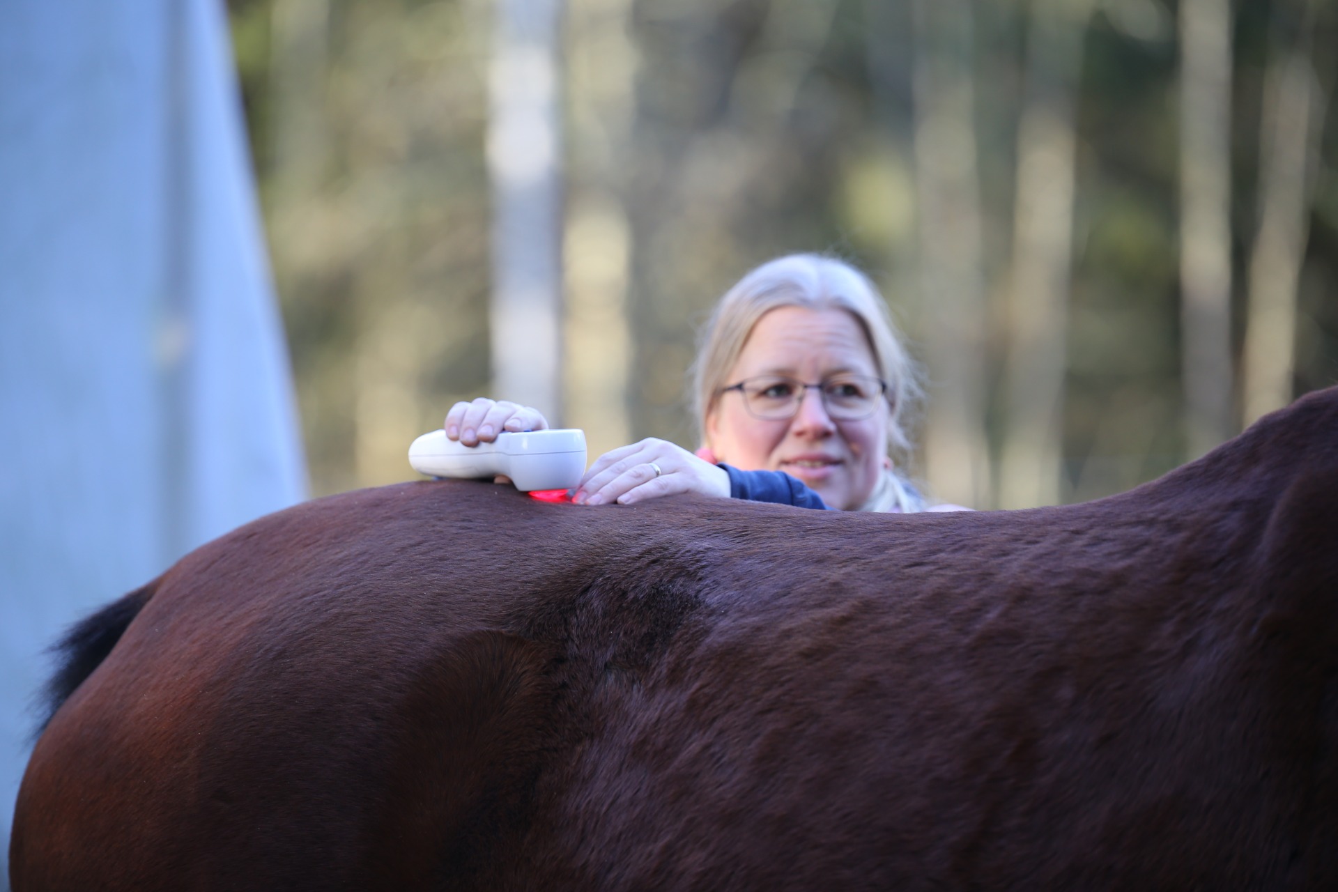 kuva: Susanna Malmström