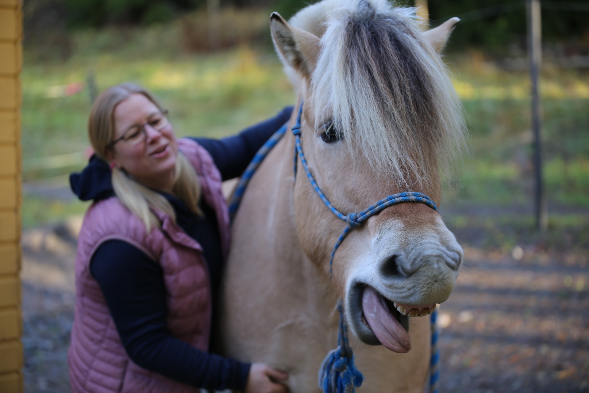 kuva: Susanna Malmström