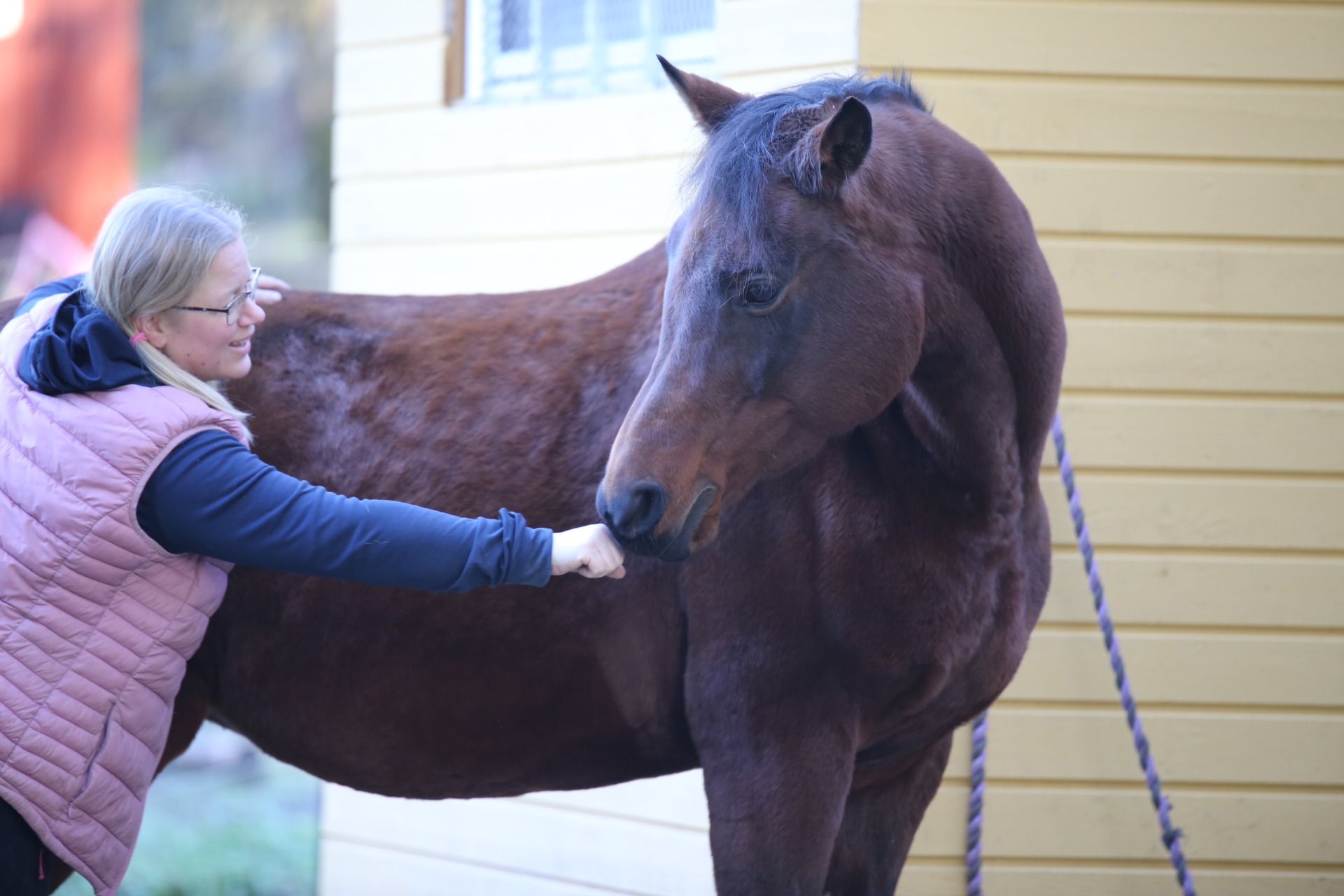 kuva: Susanna Malmström